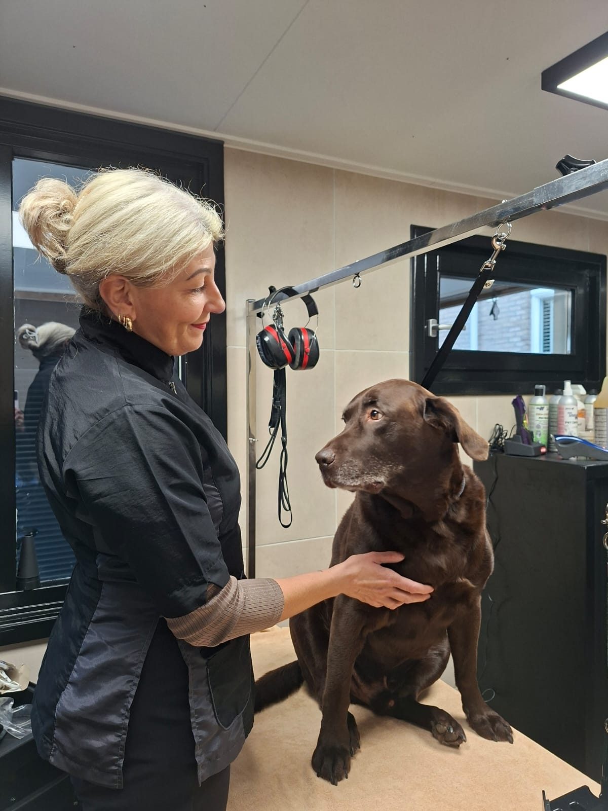 Chantal Willems met een bruine labrador op de trimtafel in haar salon
