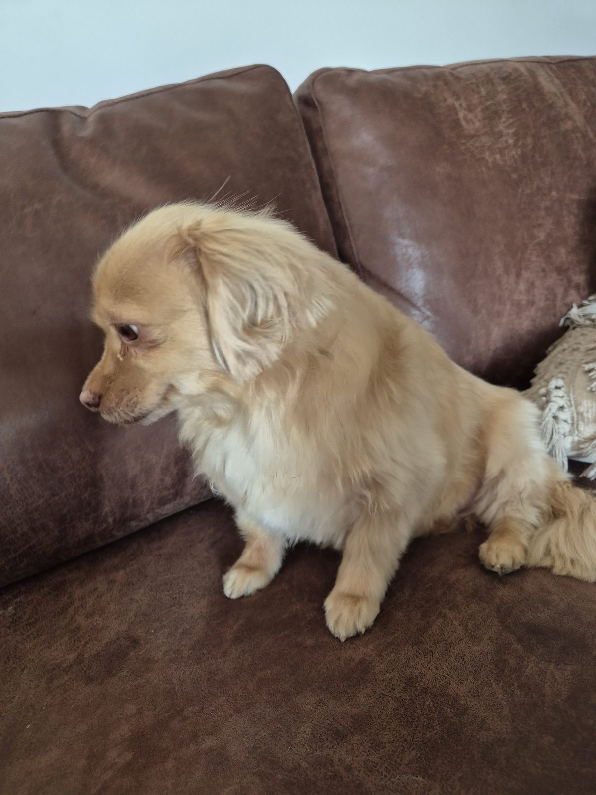 Sandy, na haar eerste bezoek